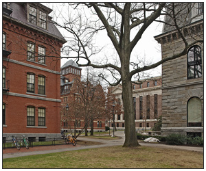 Quadrangle of Harvard University